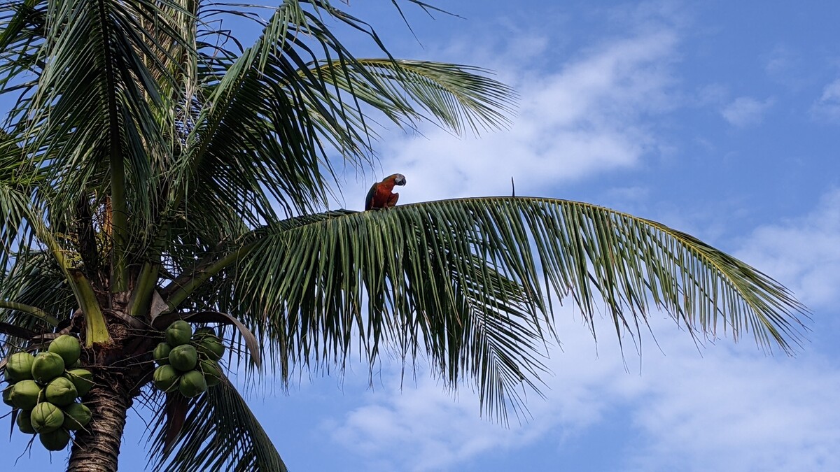關於我在台灣的隨想：我是誰，我在幹嗎？